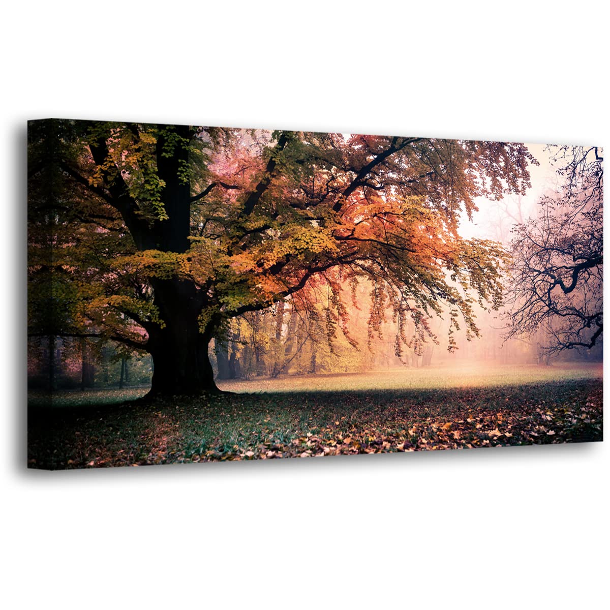 Tree of Life Wall Art Canvas Prints Natural Landscape Pictures Home Decor Colorful Forest Paintings for Living Room Bathroom Bedroom Kitchen Decorations 20x40 Wooden Framed Artwork Easy Hanging